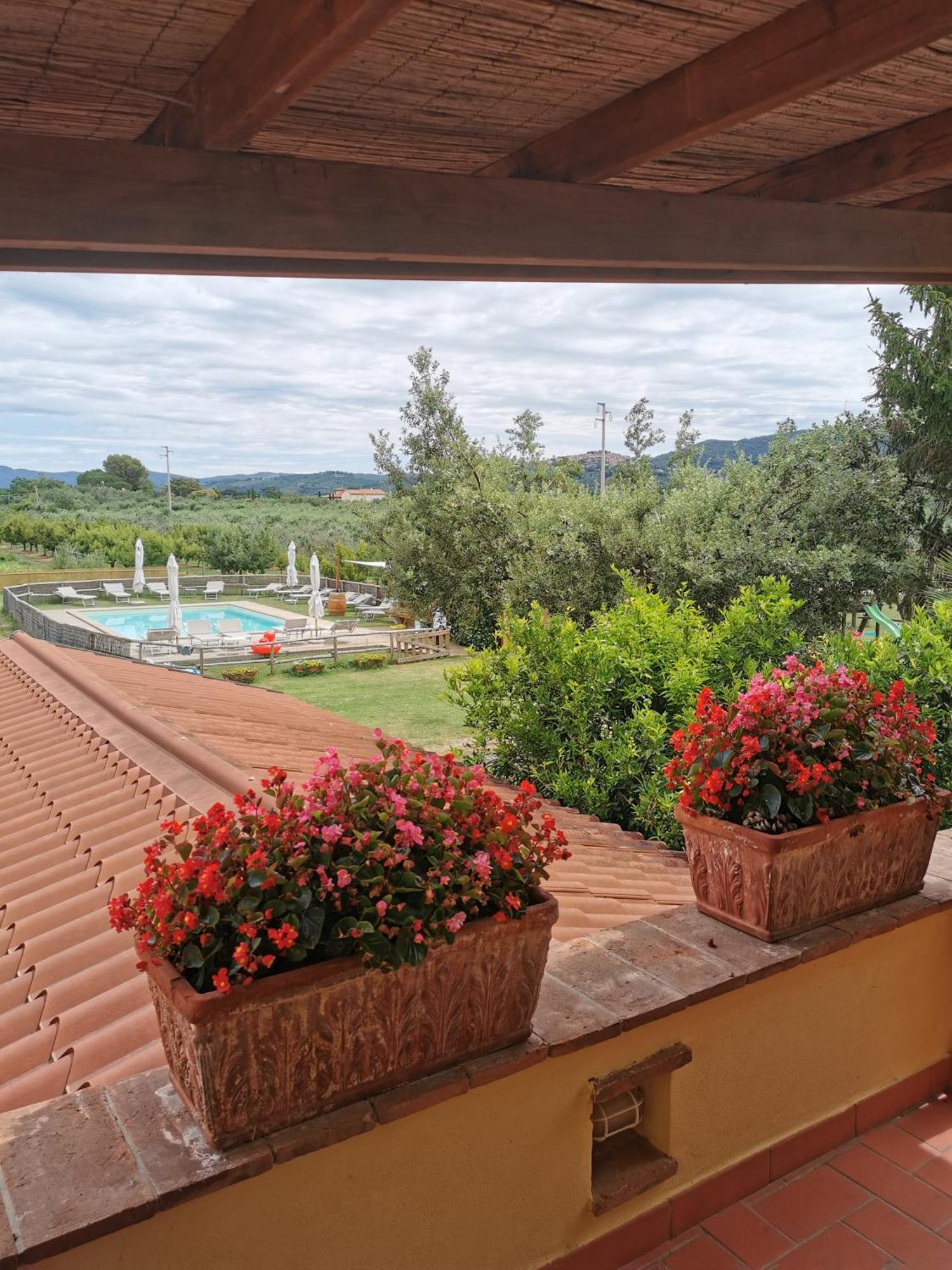 Podere Serena Castagneto Carducci Exteriör bild