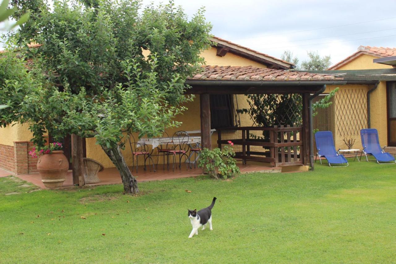 Podere Serena Castagneto Carducci Exteriör bild