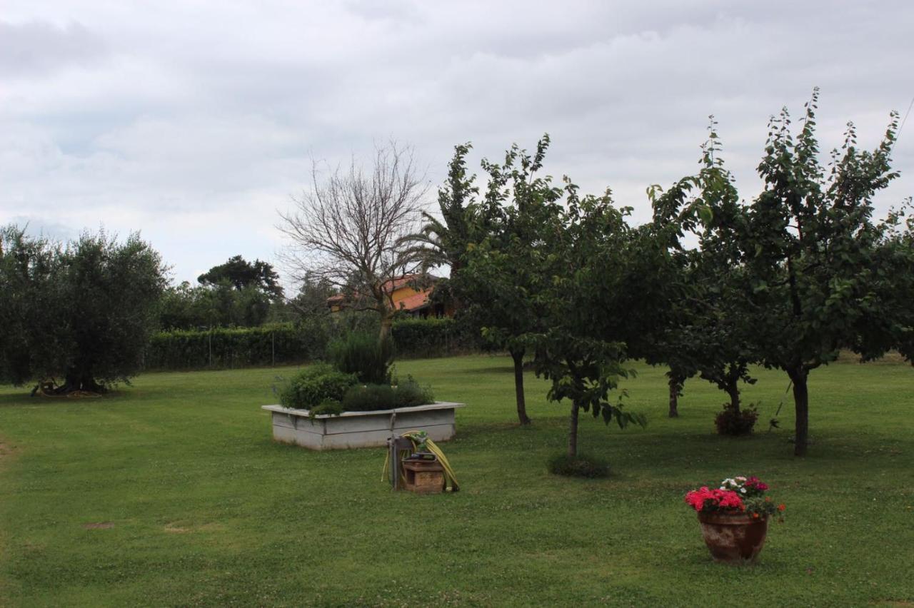Podere Serena Castagneto Carducci Exteriör bild